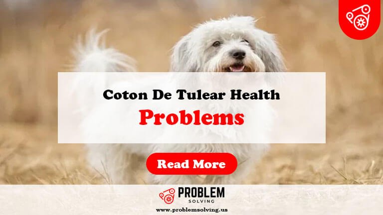 Coton De Tulear Health Problems-Fi