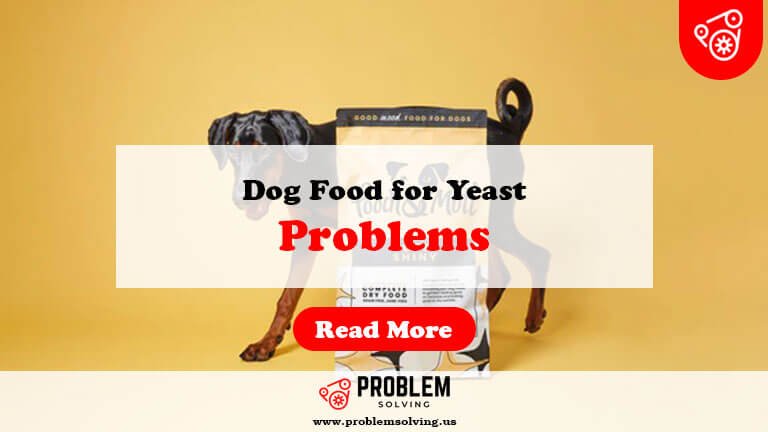 Dog Food for Yeast Problems-Fi
