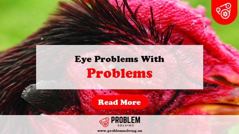 Eye Problems With Chickens-Fi